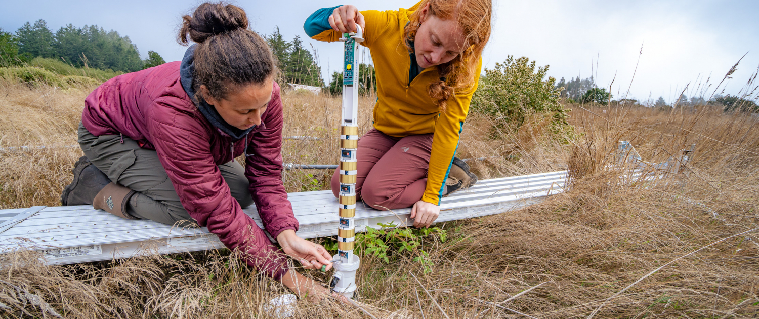 LBNL researchers at the Point Reyes field experiment.